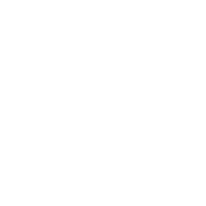 Spectrum News 13 Logo