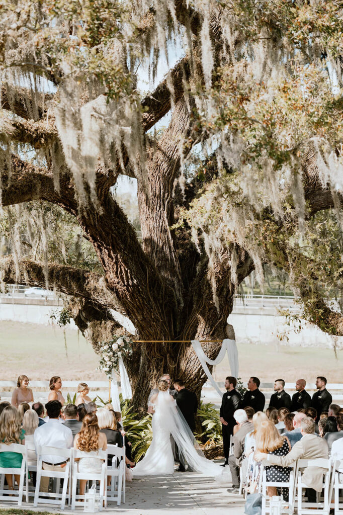 The Highland Manor Wedding Reception